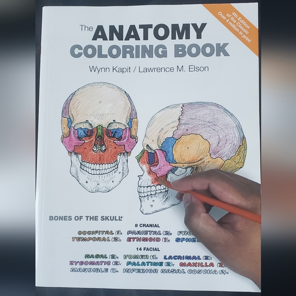 The Anatomy Colorong Book - Picture 1 of 5